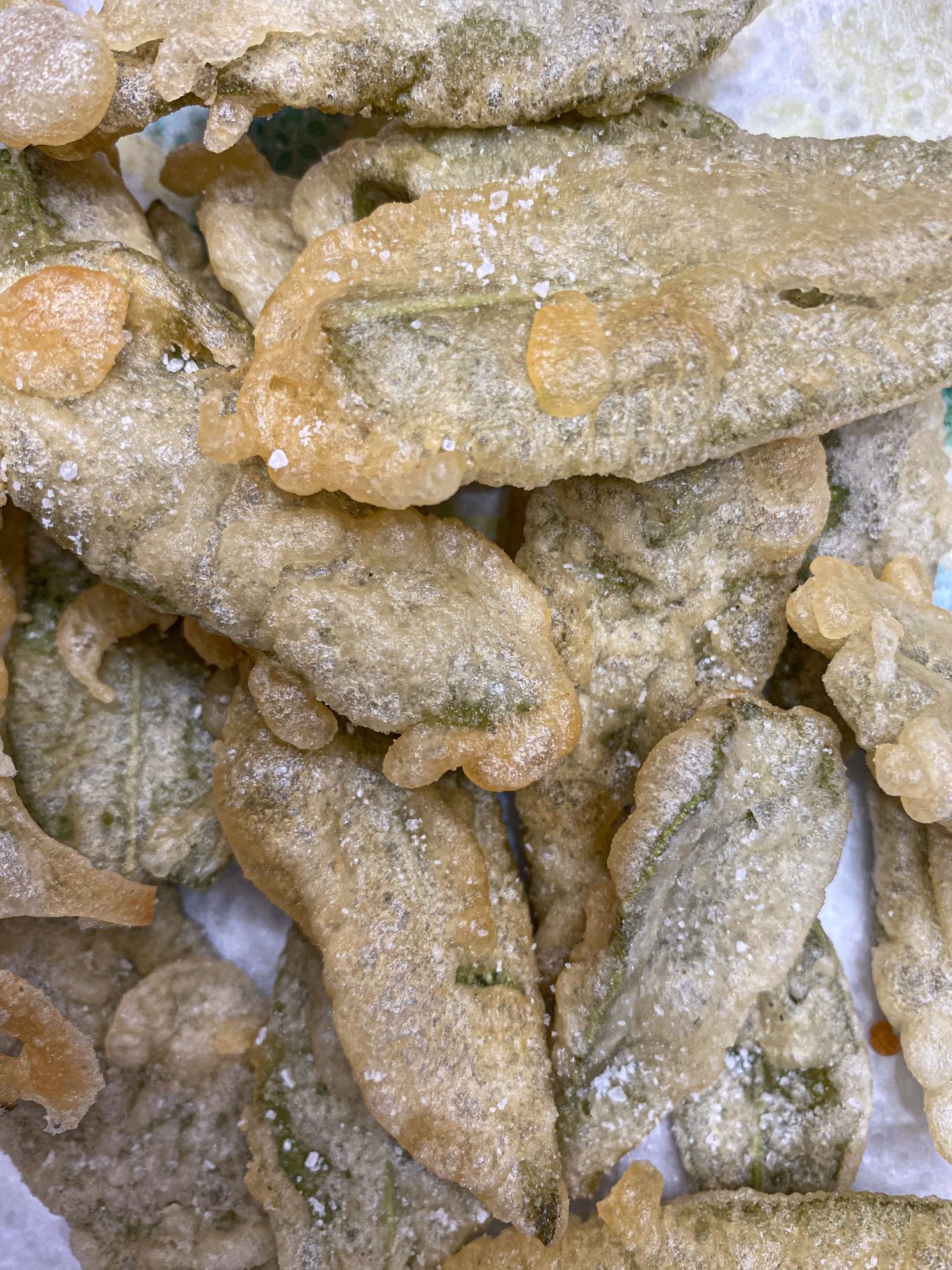 Salvia Fritta in Pastella